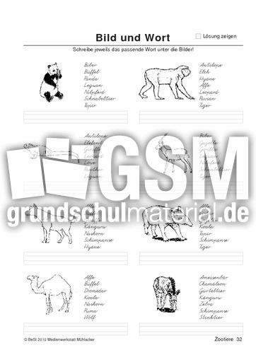 BuW Zootiere32.pdf